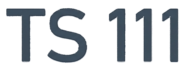 Logo Peršing